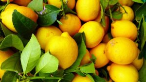 Cytryny a zdrowie
